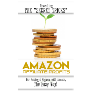 Amazon Affiliate Profits