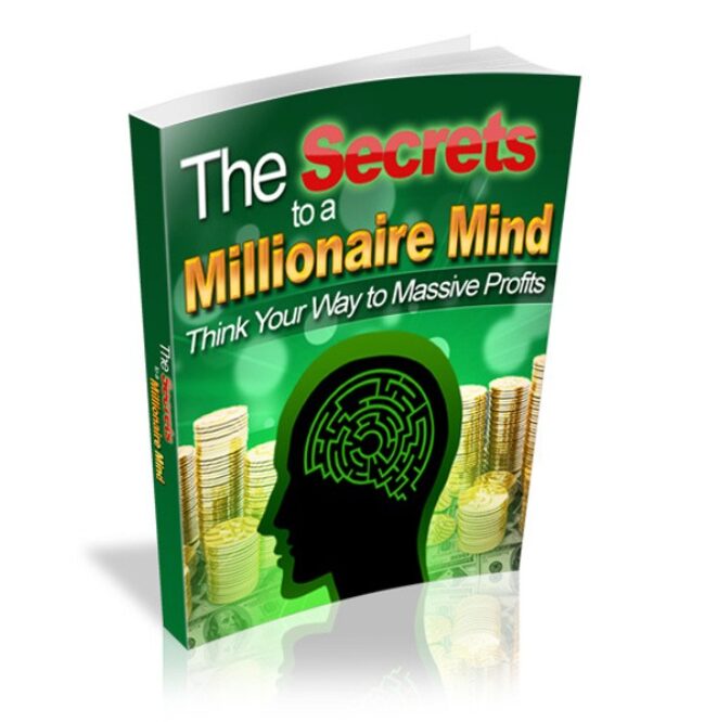The Secrets To a Millionaire Mind