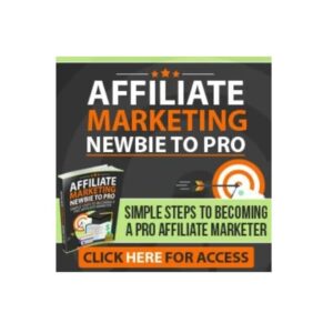 Affiliate Marketing Newbie To Pro