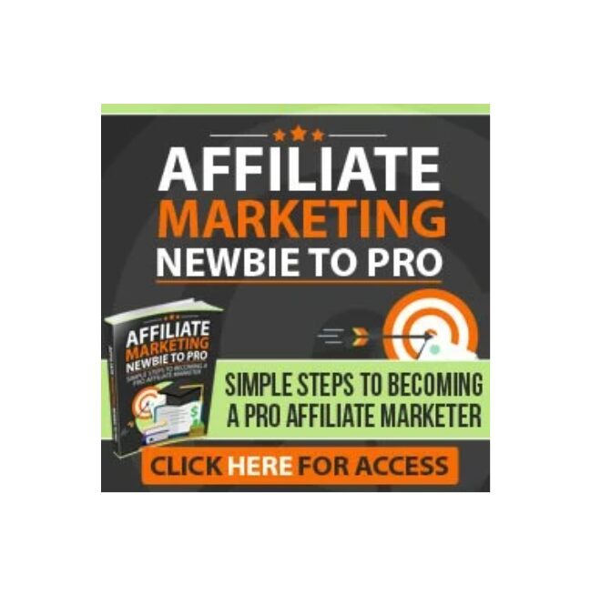 Affiliate Marketing Newbie To Pro